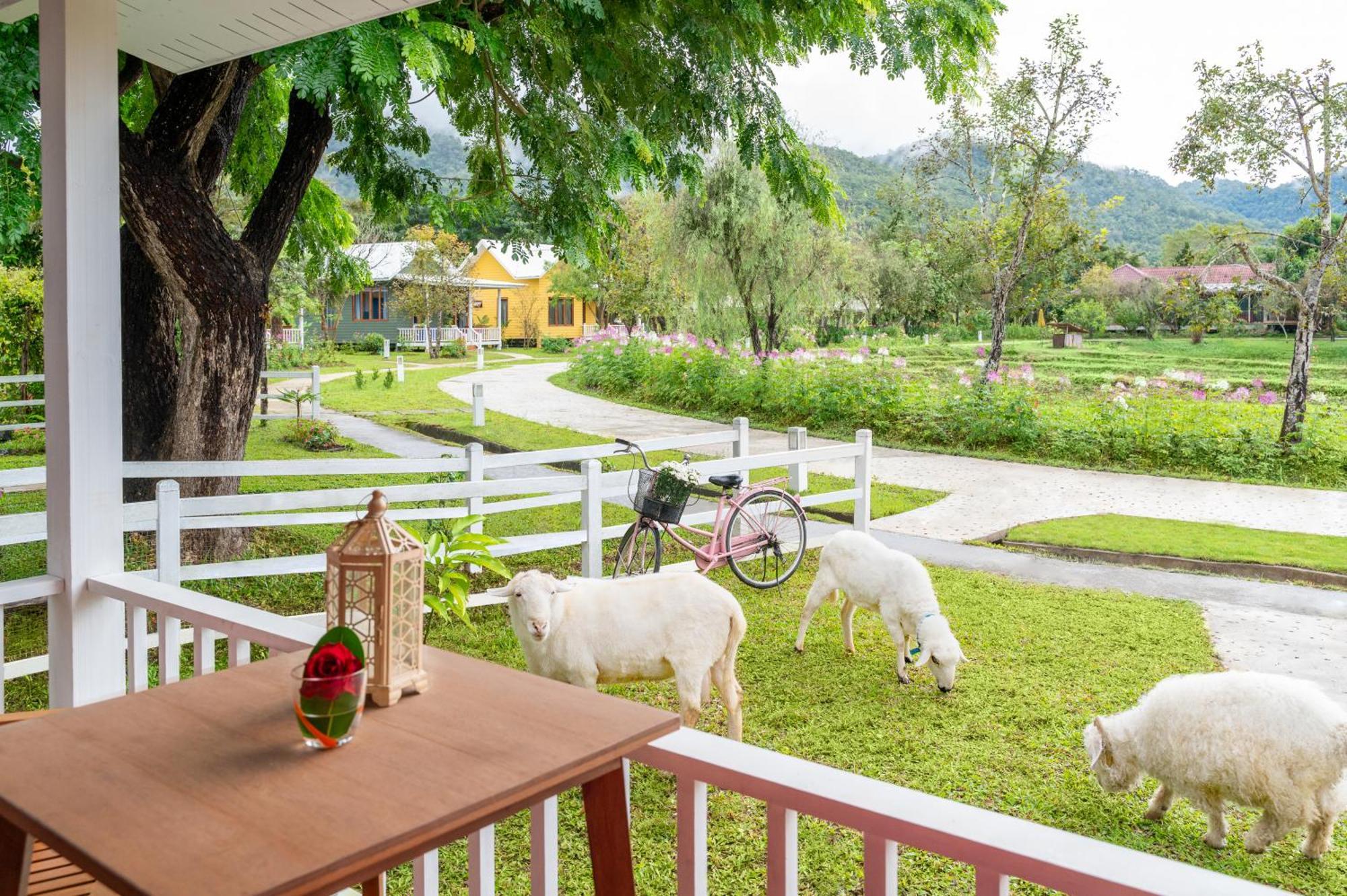 Luxury Farm House Paj Kültér fotó